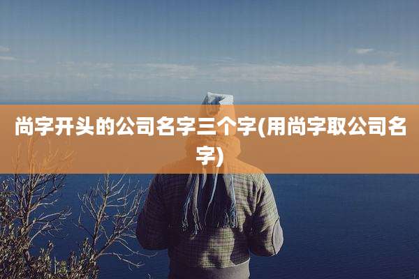 尚字开头的公司名字三个字(用尚字取公司名字)