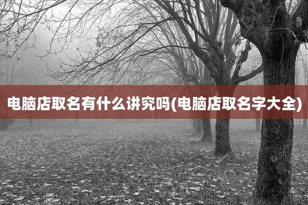 电脑店取名有什么讲究吗(电脑店取名字大全)