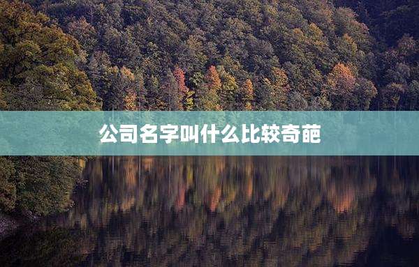 公司名字叫什么比较奇葩