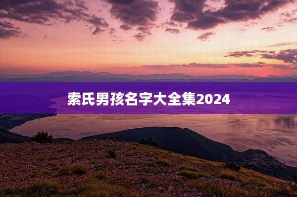 索氏男孩名字大全集2024
