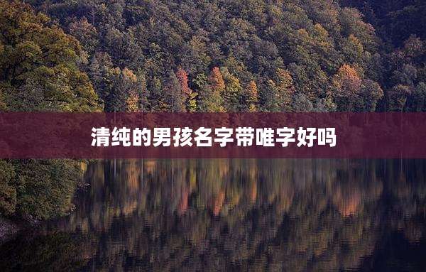 清纯的男孩名字带唯字好吗