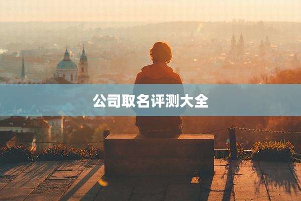 公司取名评测大全