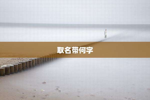 取名带何字