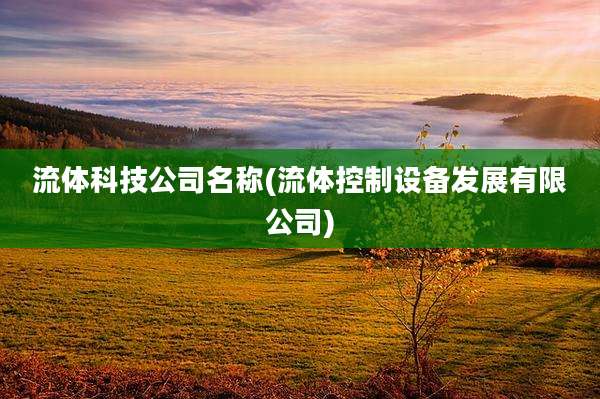 流体科技公司名称(流体控制设备发展有限公司)