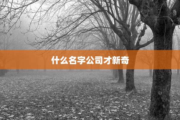 什么名字公司才新奇