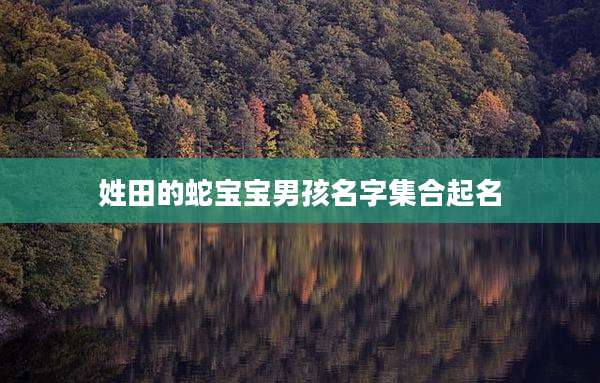 姓田的蛇宝宝男孩名字集合起名