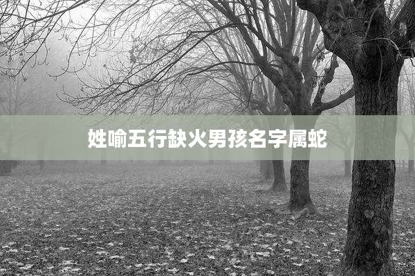 姓喻五行缺火男孩名字属蛇