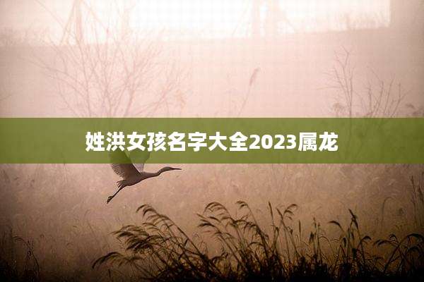姓洪女孩名字大全2023属龙