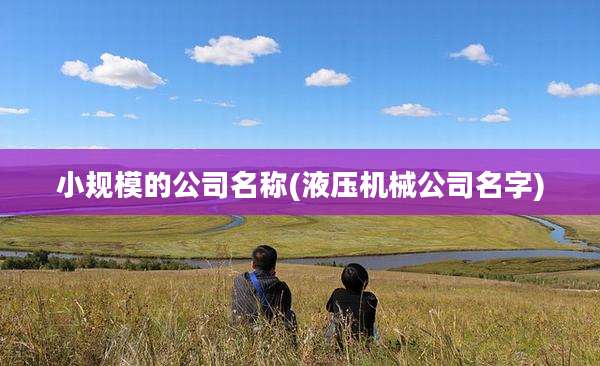 小规模的公司名称(液压机械公司名字)