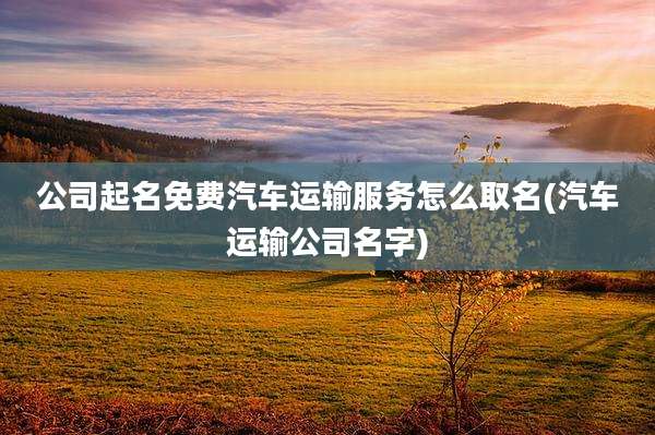 公司起名免费汽车运输服务怎么取名(汽车运输公司名字)