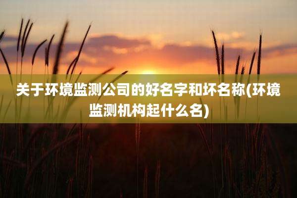 关于环境监测公司的好名字和坏名称(环境监测机构起什么名)