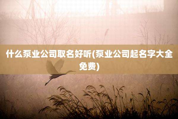 什么泵业公司取名好听(泵业公司起名字大全免费)