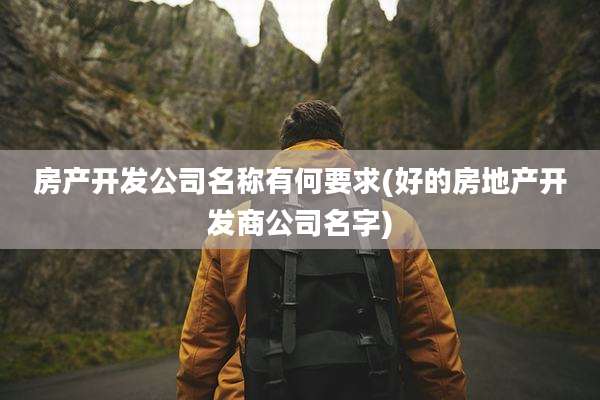 房产开发公司名称有何要求(好的房地产开发商公司名字)