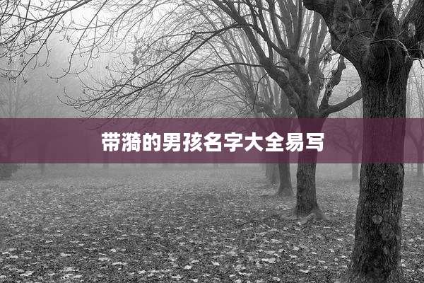 带漪的男孩名字大全易写