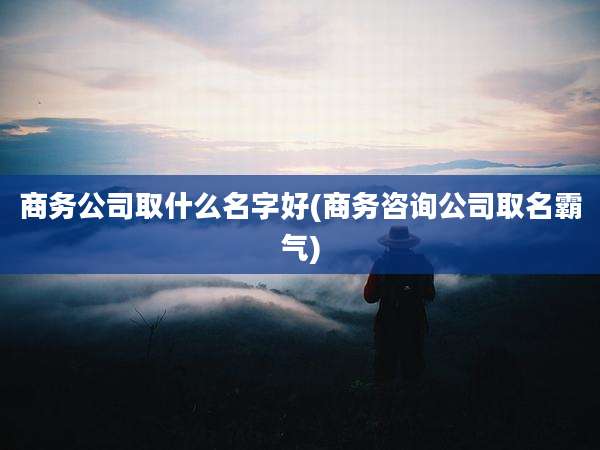 商务公司取什么名字好(商务咨询公司取名霸气)