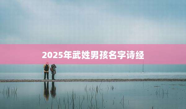 2025年武姓男孩名字诗经