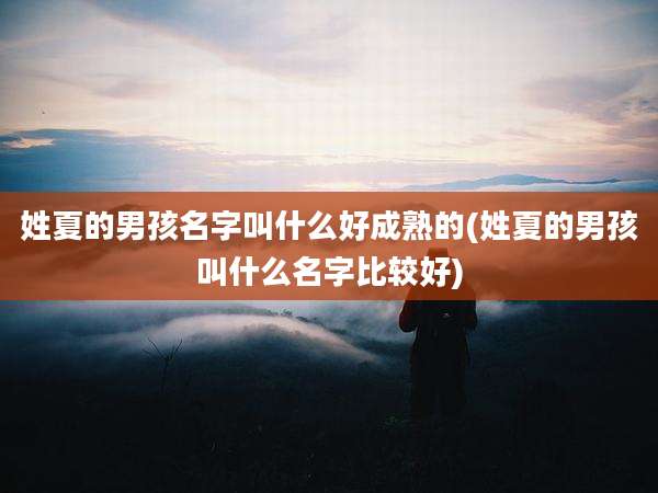 姓夏的男孩名字叫什么好成熟的(姓夏的男孩叫什么名字比较好)