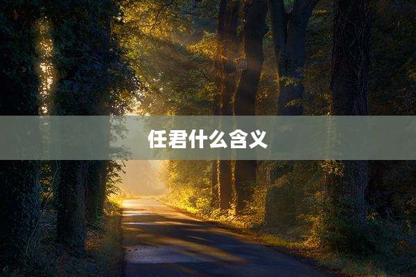 任君什么含义