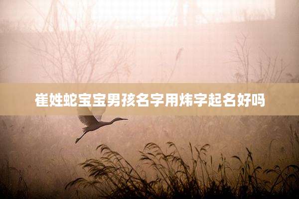 崔姓蛇宝宝男孩名字用炜字起名好吗