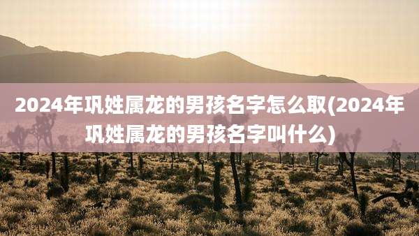 2024年巩姓属龙的男孩名字怎么取(2024年巩姓属龙的男孩名字叫什么)
