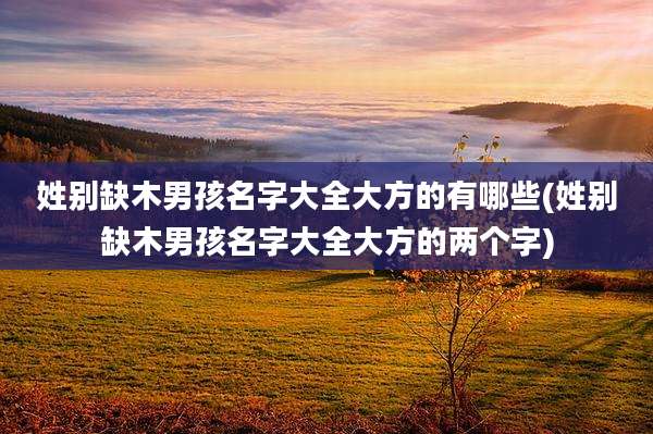 姓别缺木男孩名字大全大方的有哪些(姓别缺木男孩名字大全大方的两个字)
