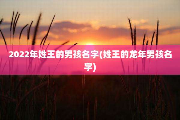 2022年姓王的男孩名字(姓王的龙年男孩名字)