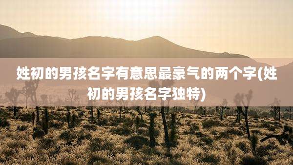 姓初的男孩名字有意思最豪气的两个字(姓初的男孩名字独特)