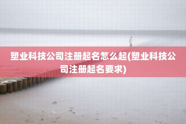 塑业科技公司注册起名怎么起(塑业科技公司注册起名要求)