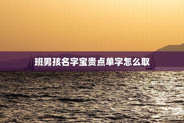 班男孩名字宝贵点单字怎么取