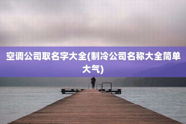 空调公司取名字大全(制冷公司名称大全简单大气)