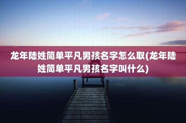 龙年陆姓简单平凡男孩名字怎么取(龙年陆姓简单平凡男孩名字叫什么)