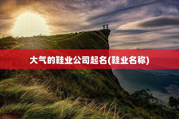 大气的鞋业公司起名(鞋业名称)