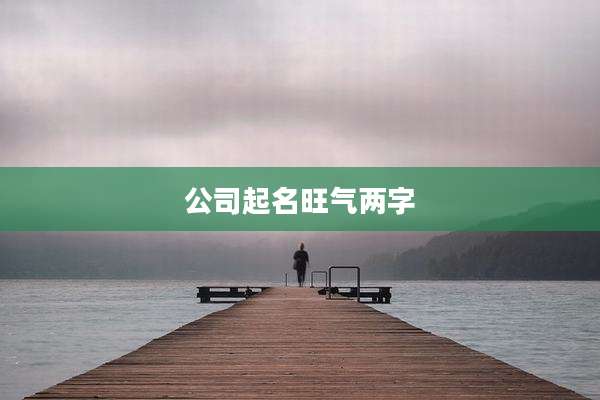 公司起名旺气两字