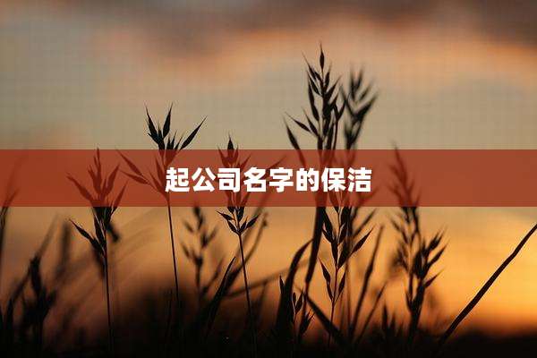 起公司名字的保洁