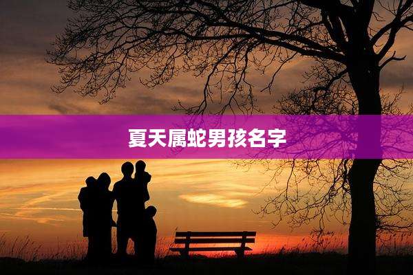 夏天属蛇男孩名字