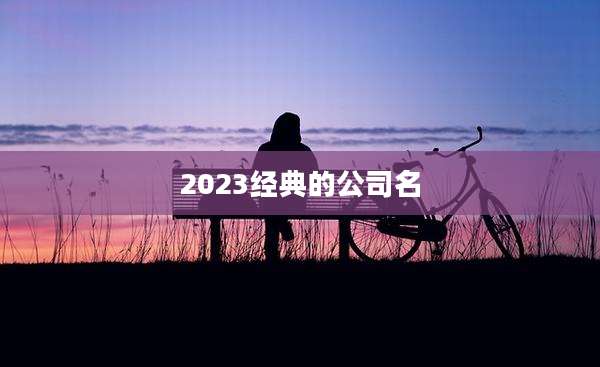 2023经典的公司名