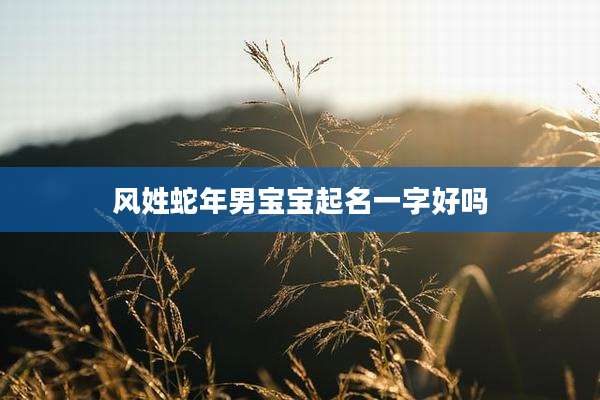 风姓蛇年男宝宝起名一字好吗