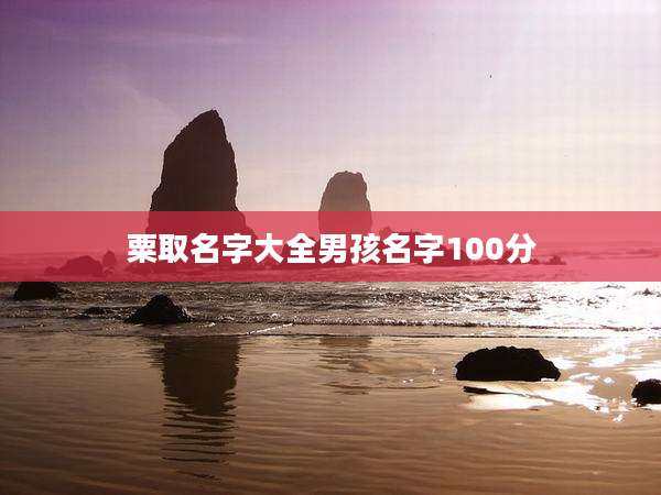 粟取名字大全男孩名字100分