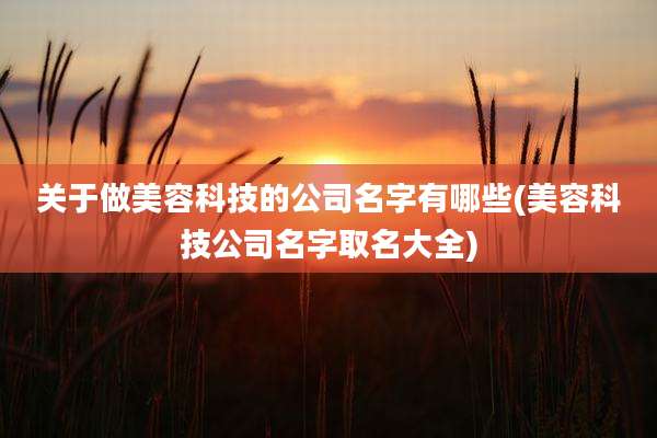 关于做美容科技的公司名字有哪些(美容科技公司名字取名大全)