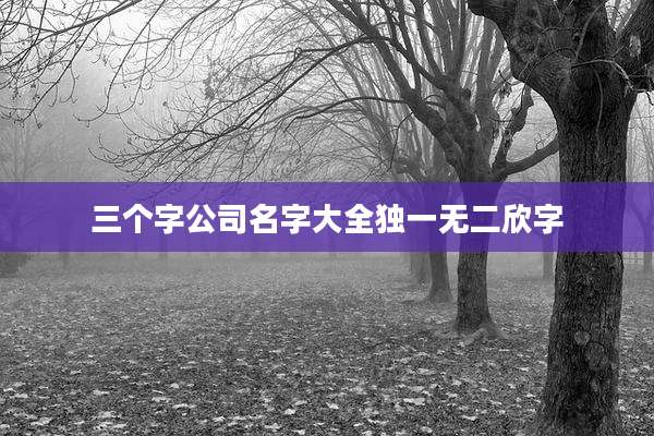 三个字公司名字大全独一无二欣字
