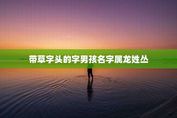 带草字头的字男孩名字属龙姓丛