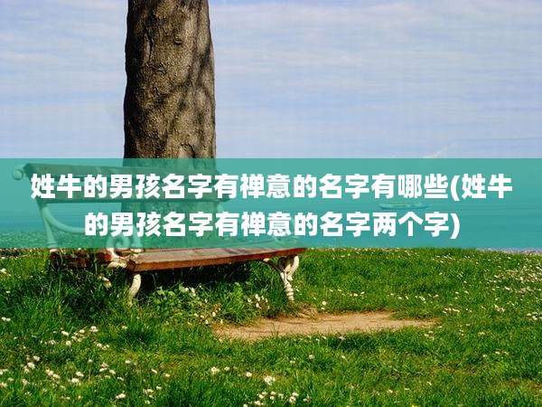 姓牛的男孩名字有禅意的名字有哪些(姓牛的男孩名字有禅意的名字两个字)