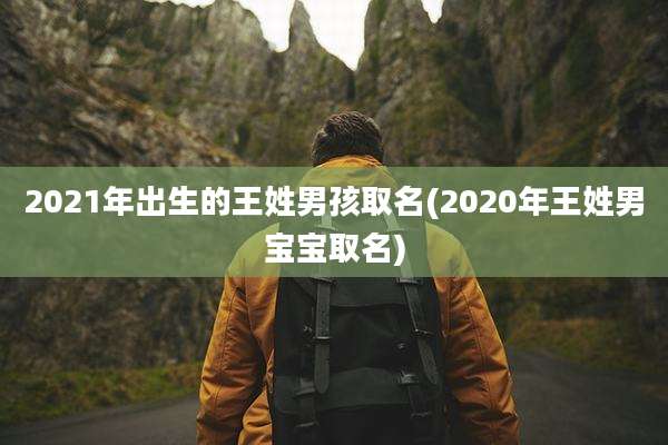2021年出生的王姓男孩取名(2020年王姓男宝宝取名)