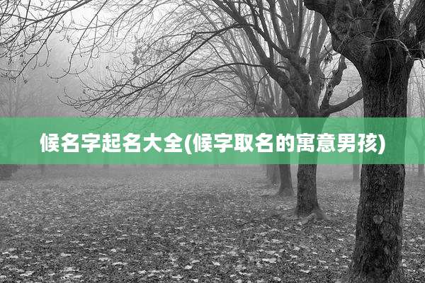 候名字起名大全(候字取名的寓意男孩)