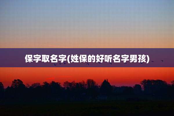 保字取名字(姓保的好听名字男孩)
