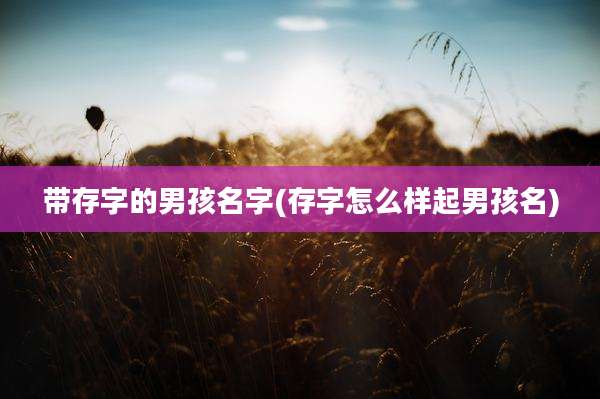 带存字的男孩名字(存字怎么样起男孩名)