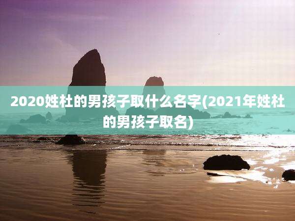 2020姓杜的男孩子取什么名字(2021年姓杜的男孩子取名)