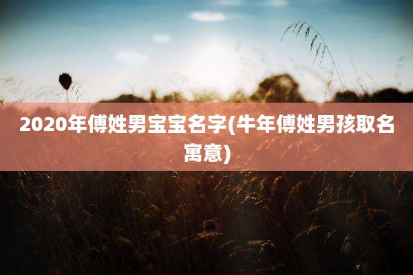 2020年傅姓男宝宝名字(牛年傅姓男孩取名寓意)