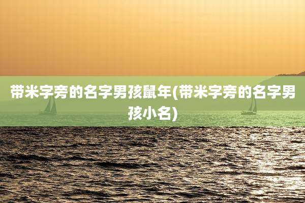 带米字旁的名字男孩鼠年(带米字旁的名字男孩小名)