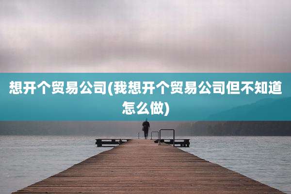 想开个贸易公司(我想开个贸易公司但不知道怎么做)